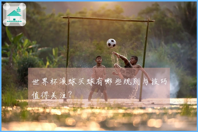 世界杯滚球买球有哪些规则与技巧值得关注？