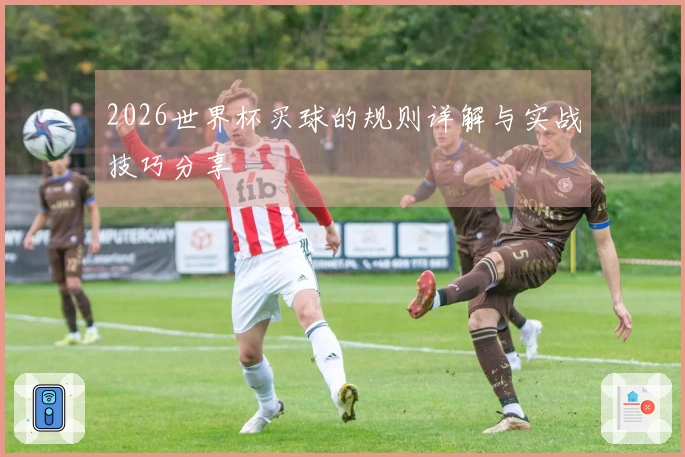 2026世界杯买球的规则详解与实战技巧分享