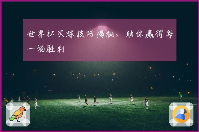 世界杯买球技巧揭秘，助你赢得每一场胜利