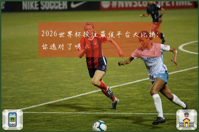2026世界杯投注最佳平台大比拼：你选对了吗