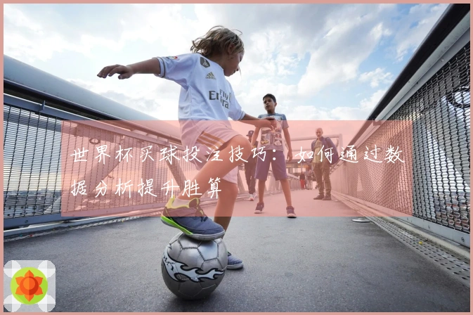 世界杯买球投注技巧：如何通过数据分析提升胜算