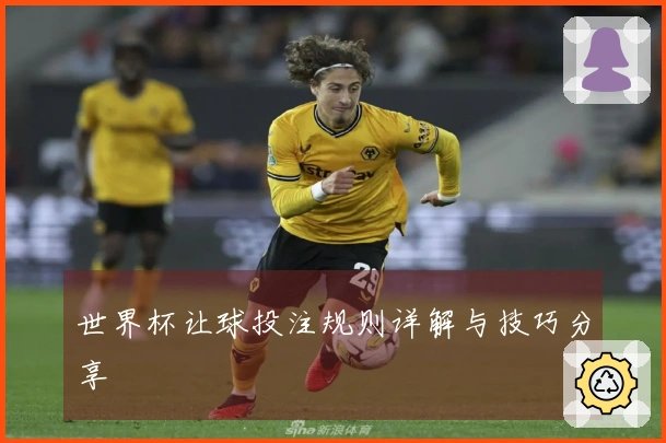 世界杯让球投注规则详解与技巧分享
