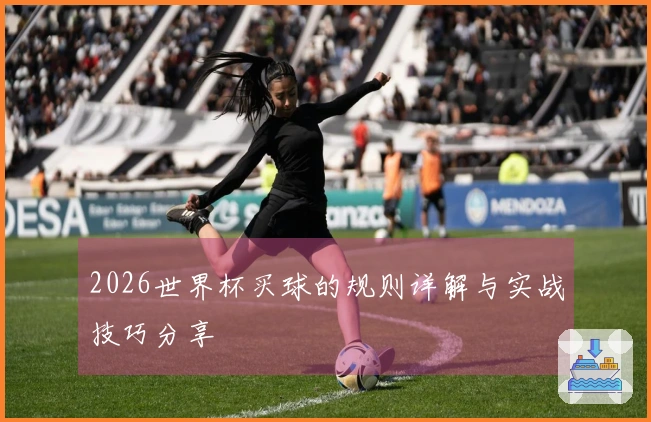 2026世界杯买球的规则详解与实战技巧分享
