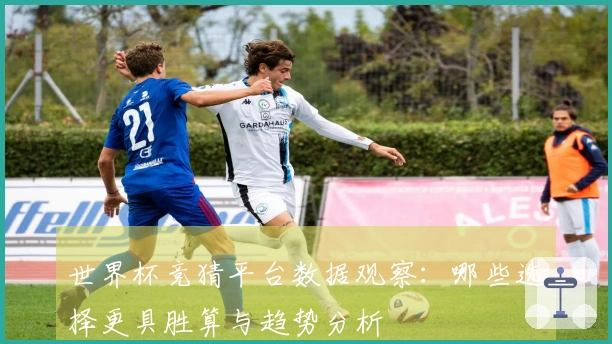 世界杯竞猜平台数据观察：哪些选择更具胜算与趋势分析