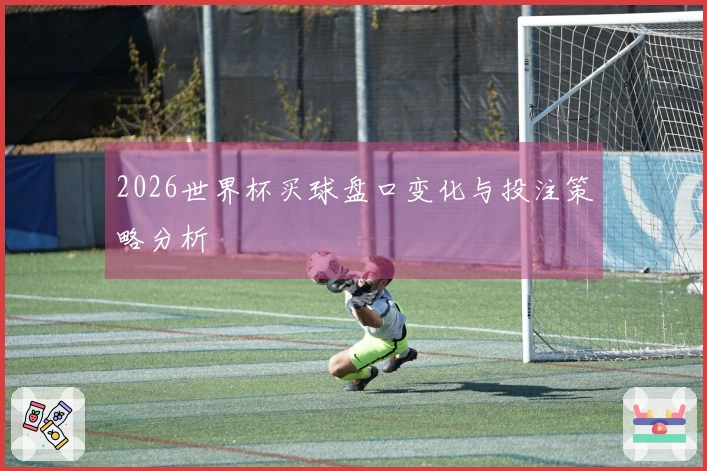 2026世界杯买球盘口变化与投注策略分析