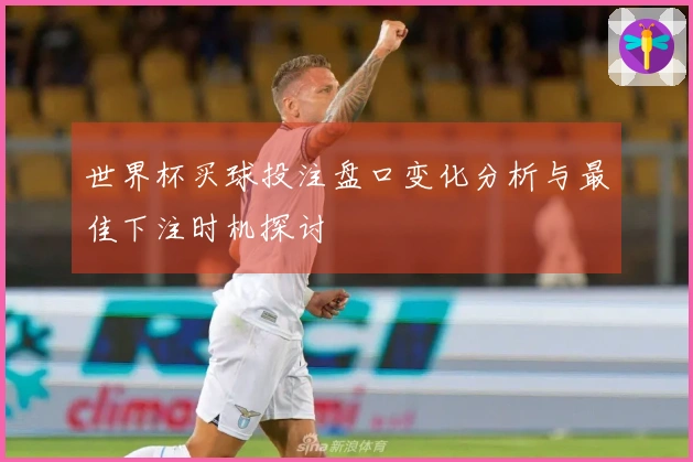 世界杯买球投注盘口变化分析与最佳下注时机探讨
