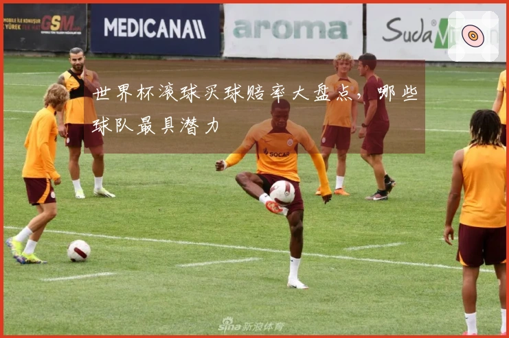 世界杯滚球买球赔率大盘点，哪些球队最具潜力
