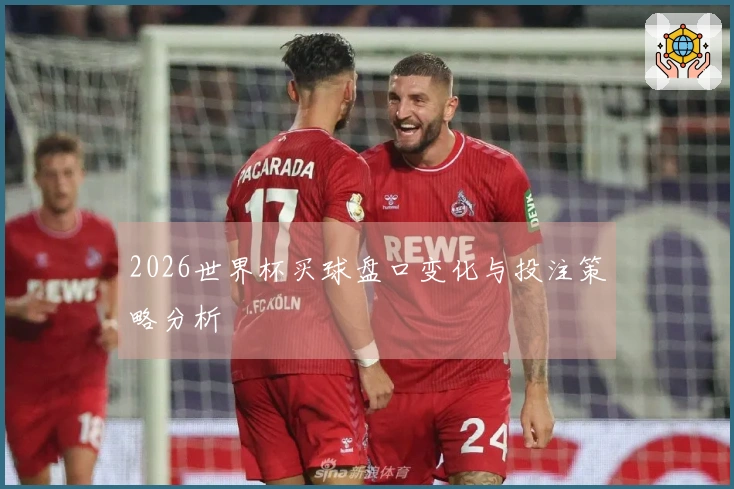 2026世界杯买球盘口变化与投注策略分析