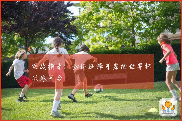 实战指南：如何选择可靠的世界杯买球平台